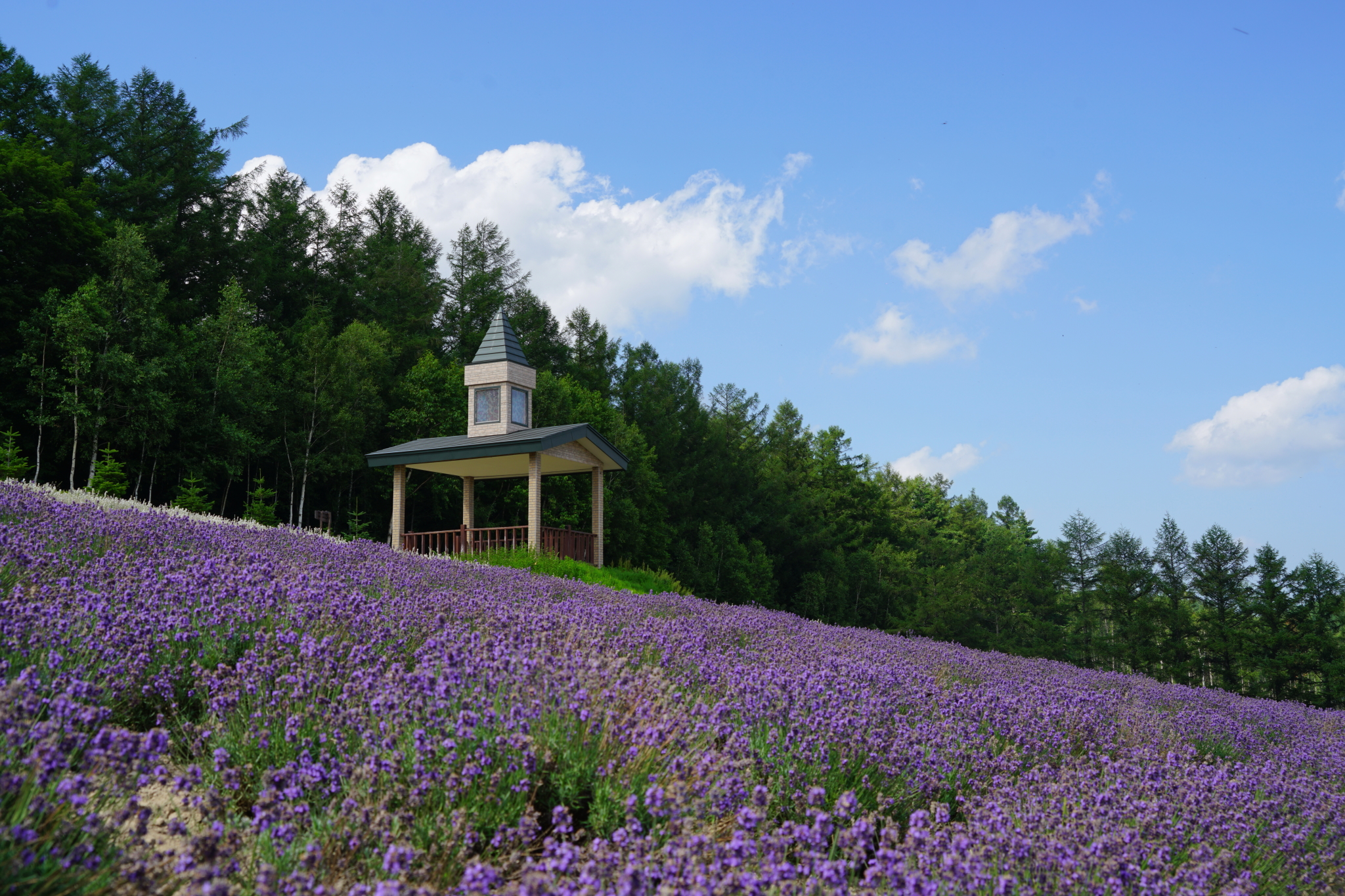 北海道自助遊攻略