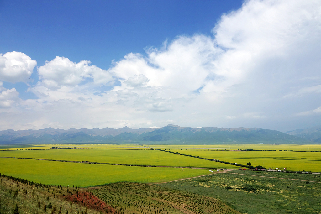 2017暑假西北东北行五青海湖大环线3嘉峪关张掖门源塔尔寺