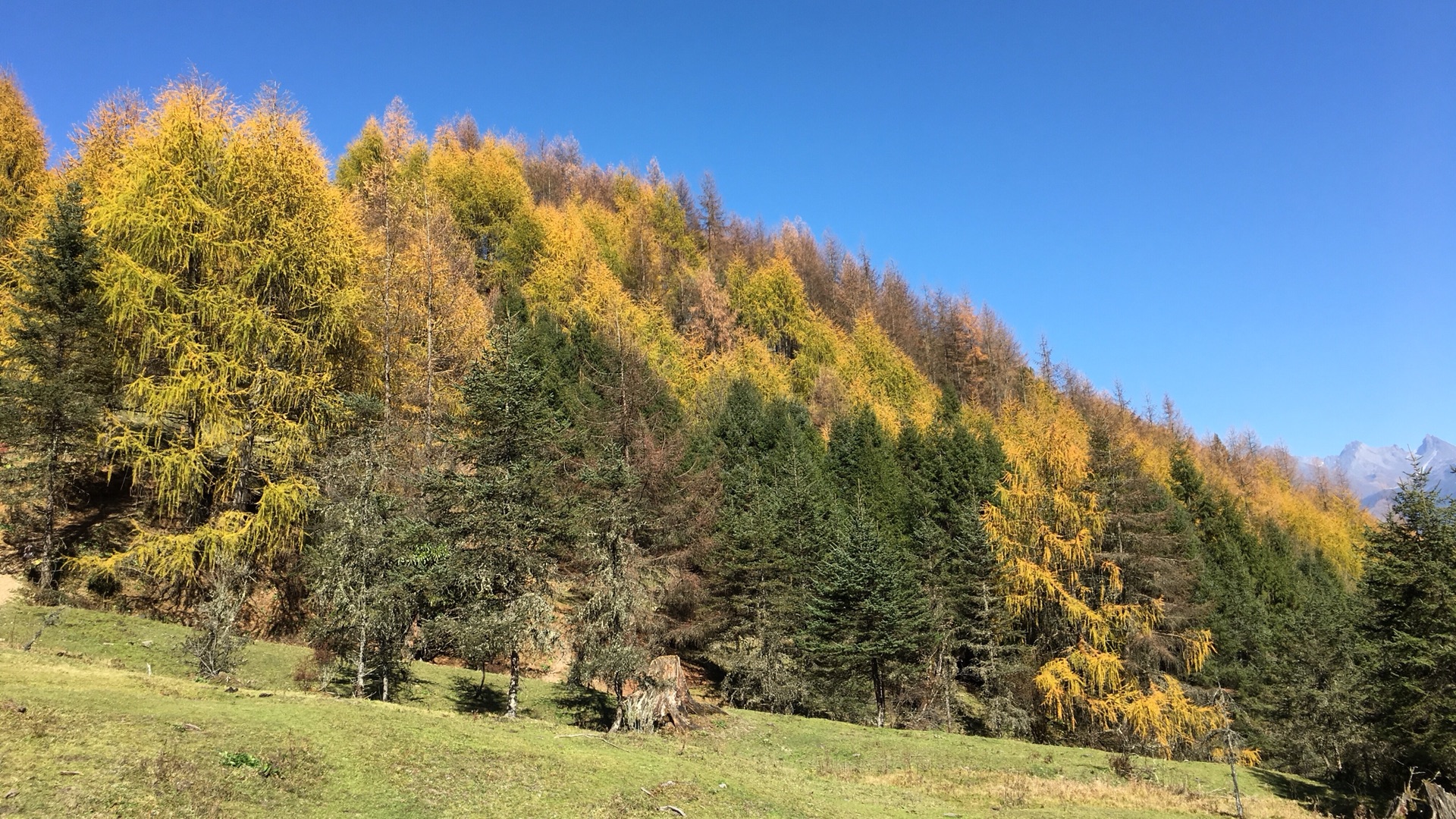 雅安市宝兴县阿坝州四姑娘山随记