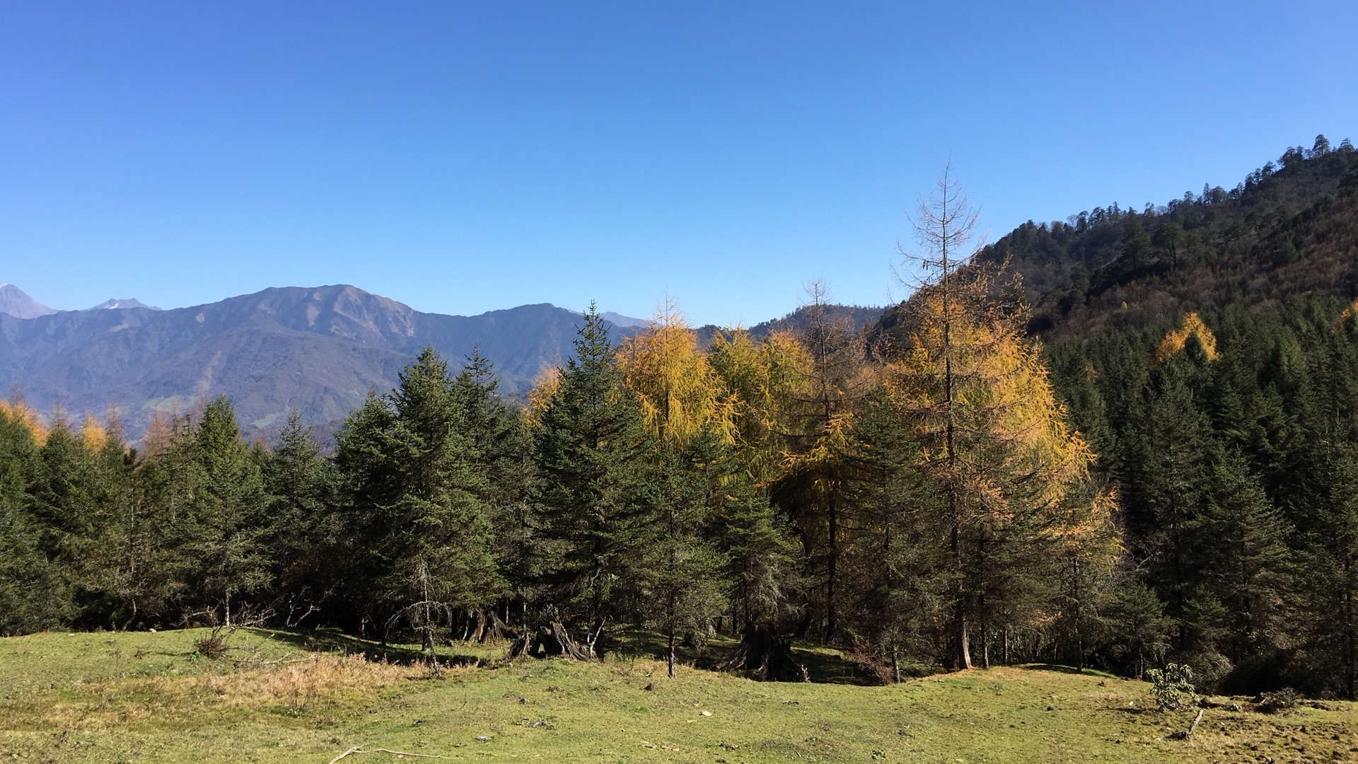 雅安市寶興縣,阿壩州四姑娘山隨記,寶興旅遊攻略 - 馬蜂窩