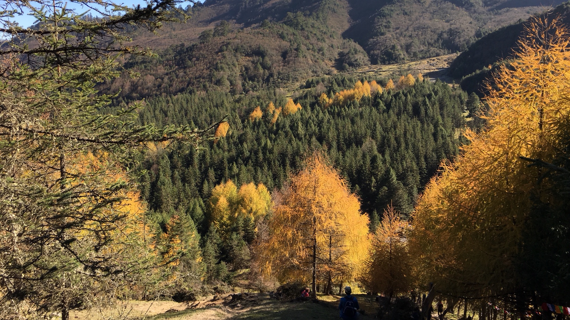 雅安市宝兴县阿坝州四姑娘山随记