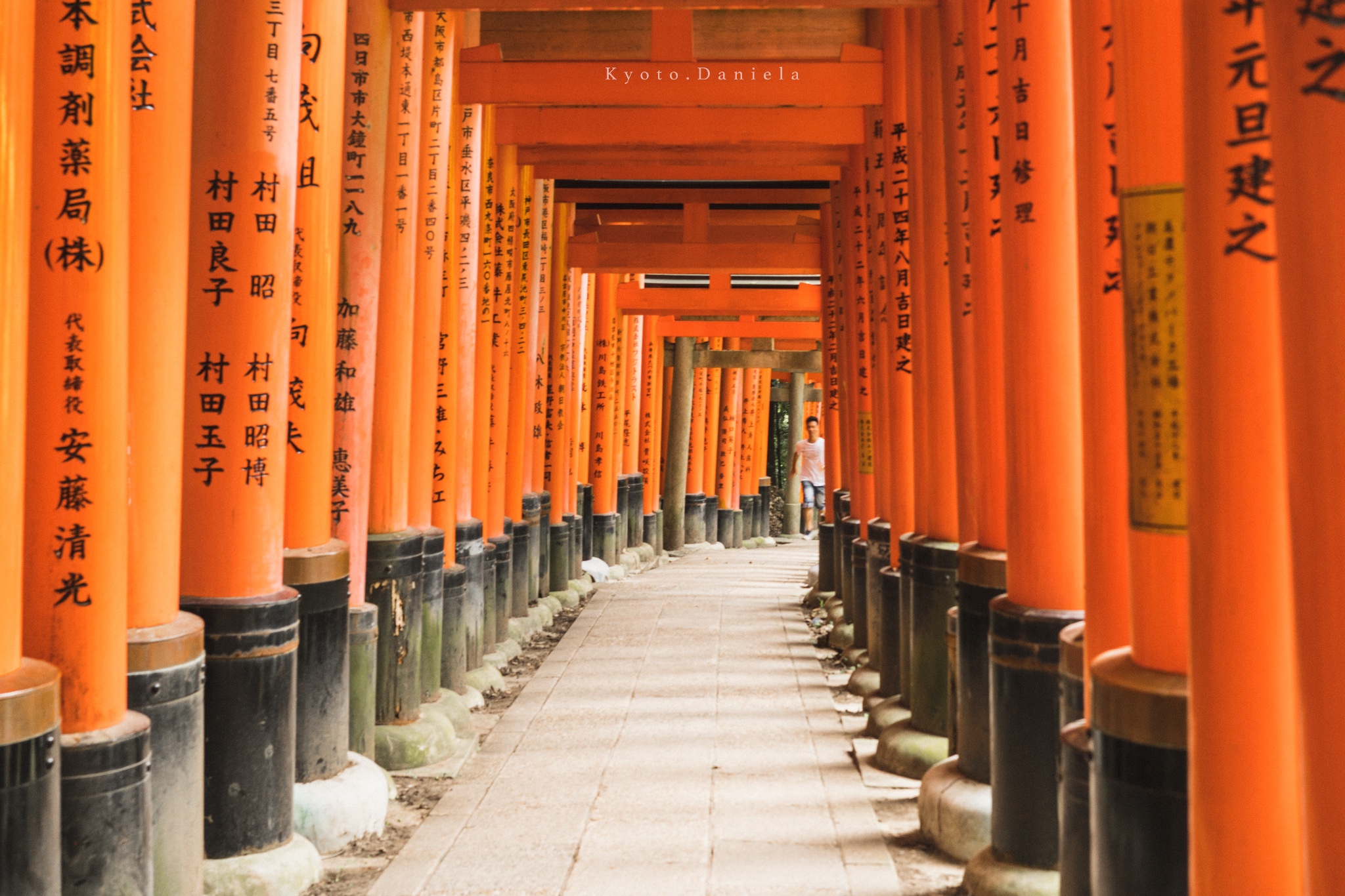 京都自助遊攻略