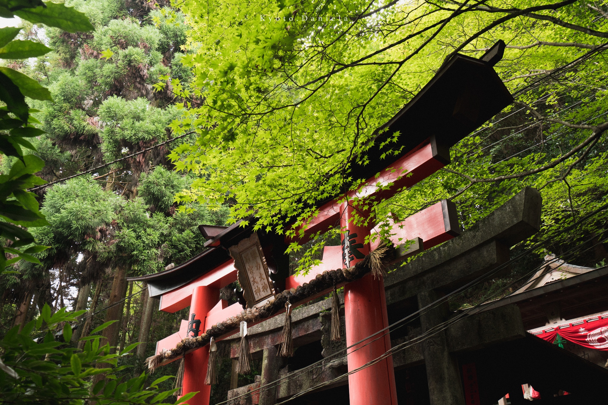 京都自助遊攻略