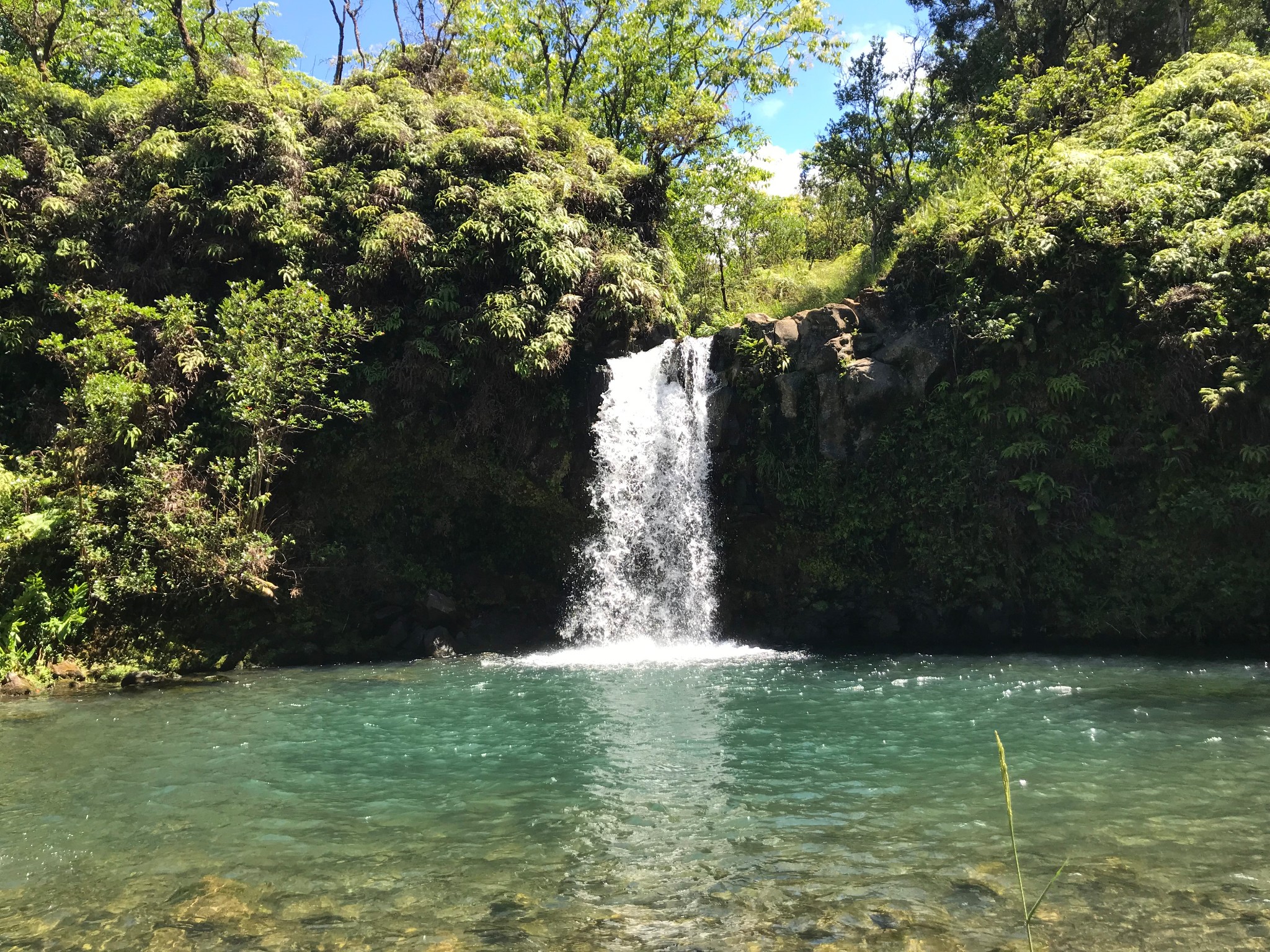 夏威夷自助遊攻略