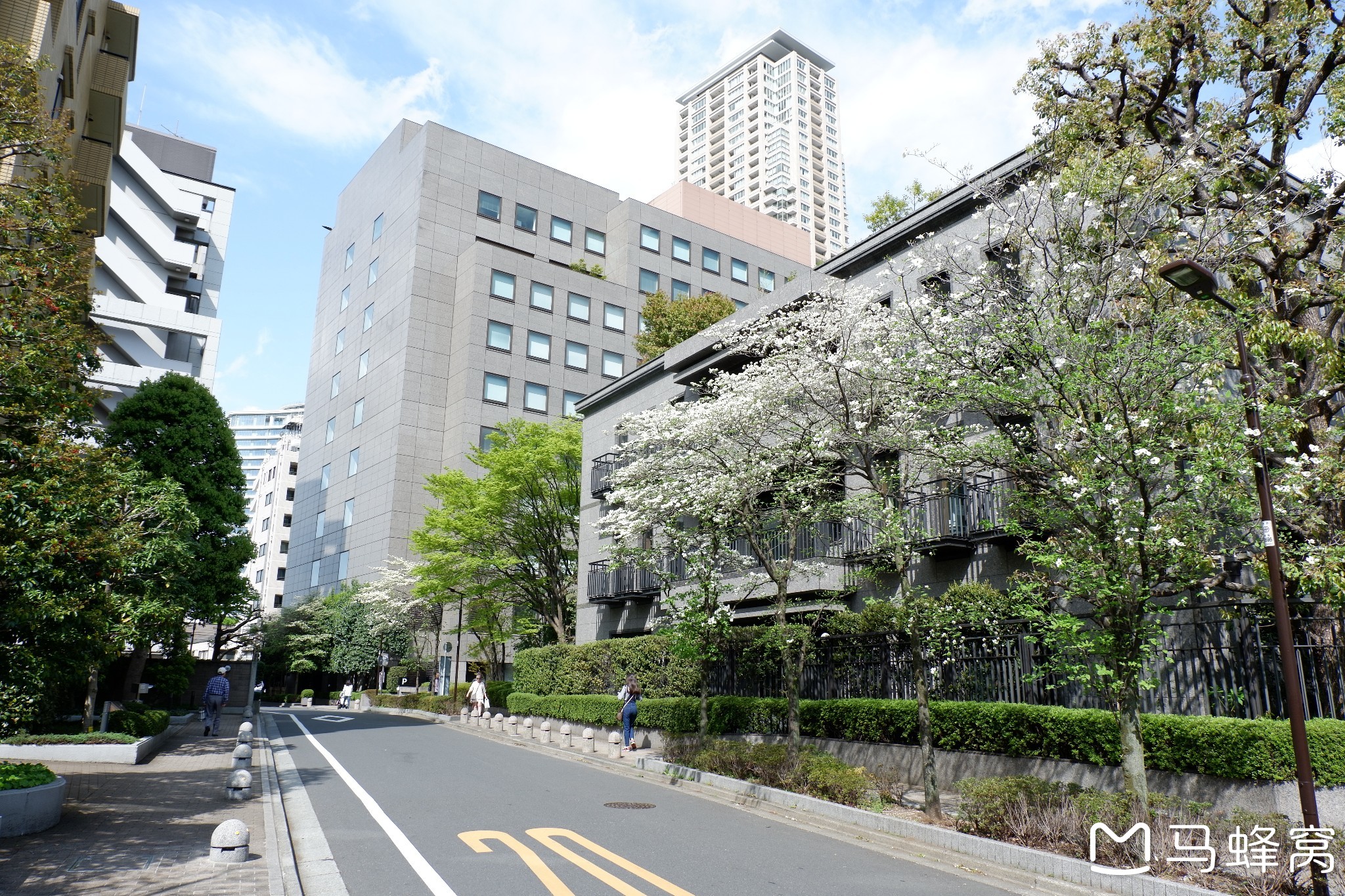 東京自助遊攻略