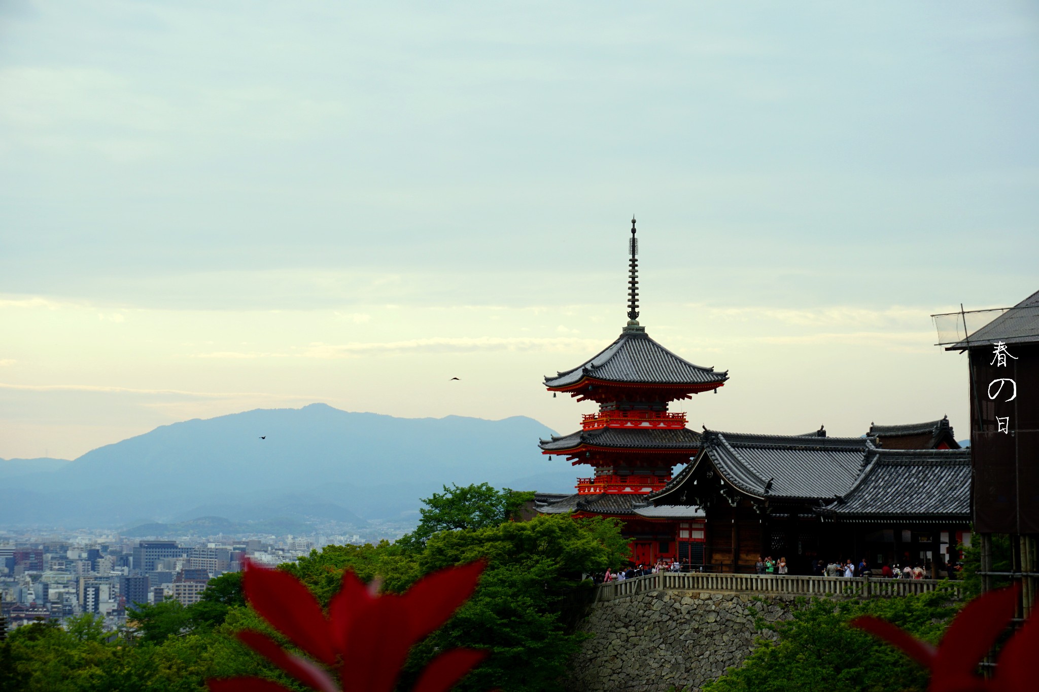 京都自助遊攻略