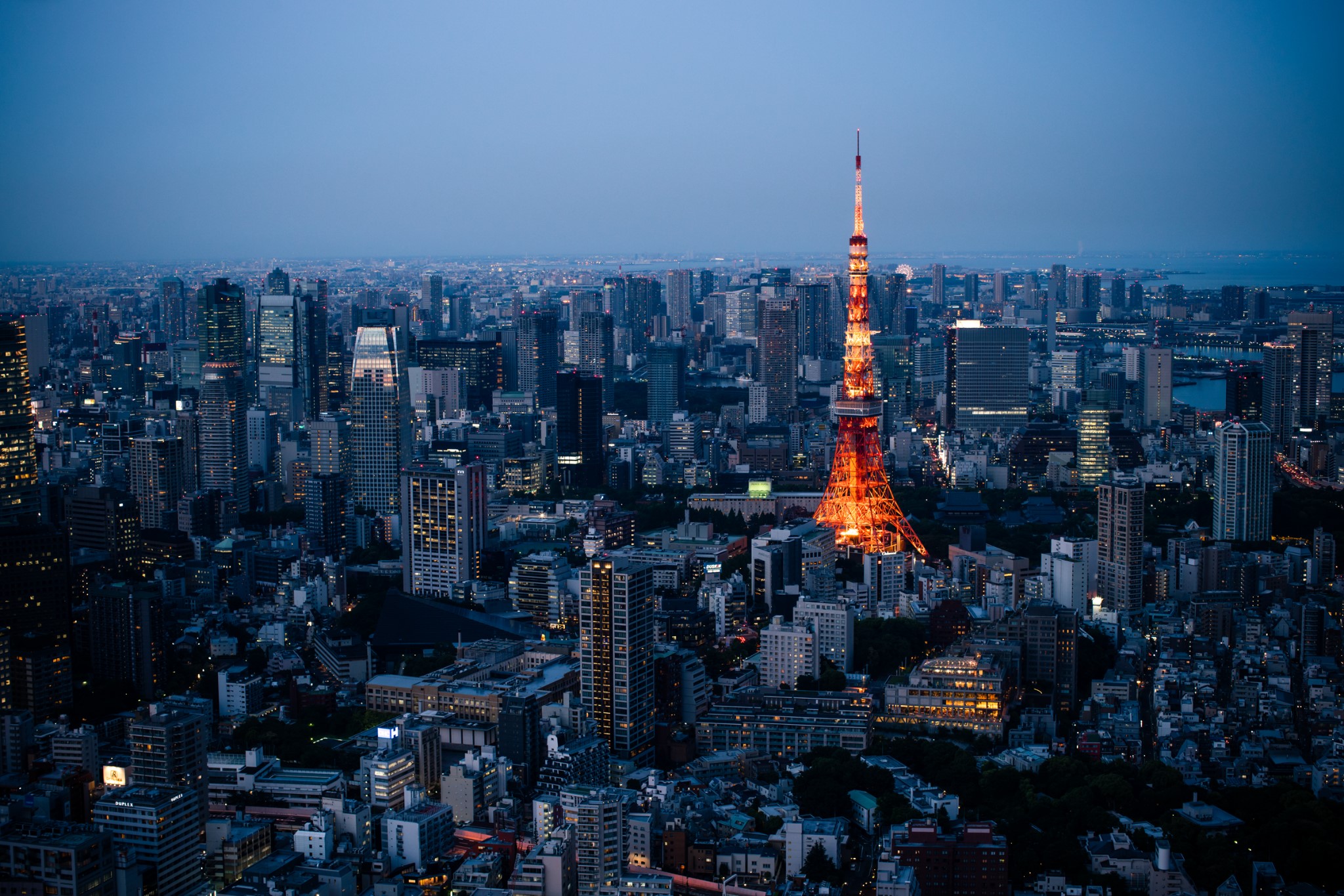 浪漫的五月遇见tokyo,只为遇见更好的自己_游记