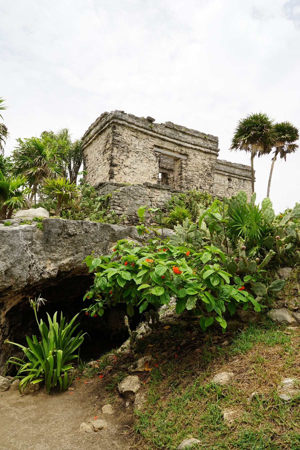 我家的2018暑假美国墨西哥古巴自驾游之第二十六天坎昆图卢姆