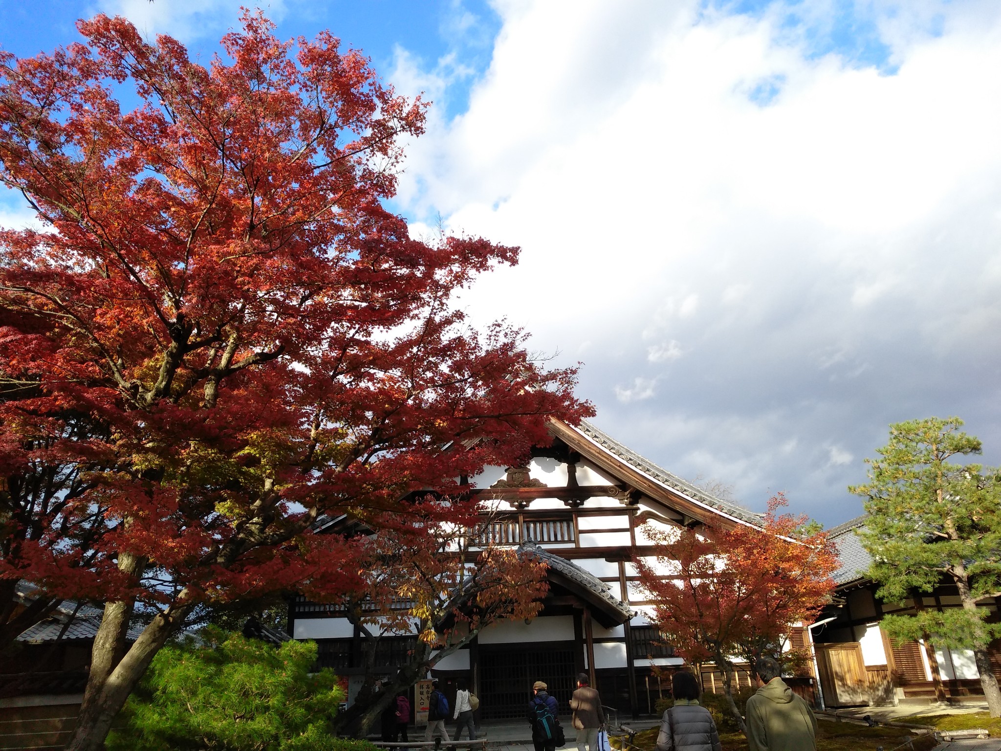 京都自助遊攻略