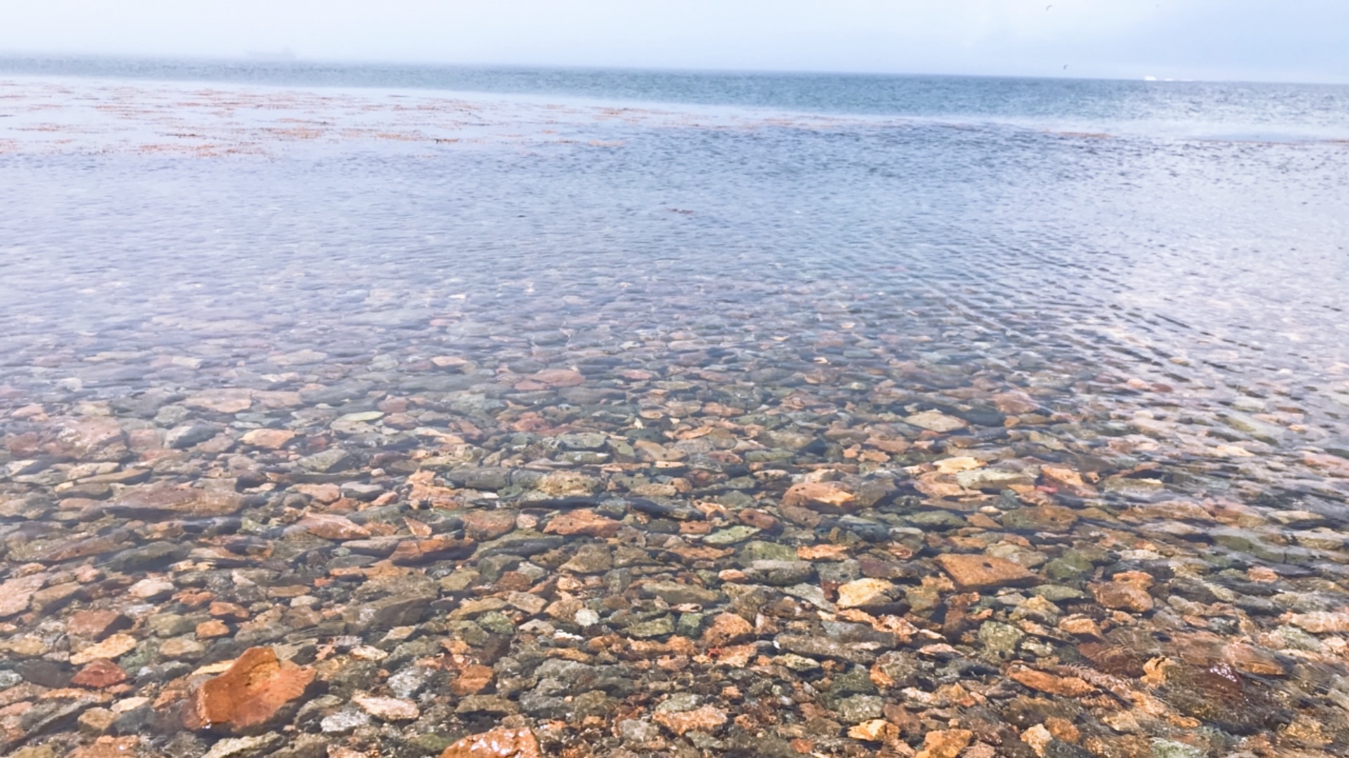 海參崴自助遊攻略