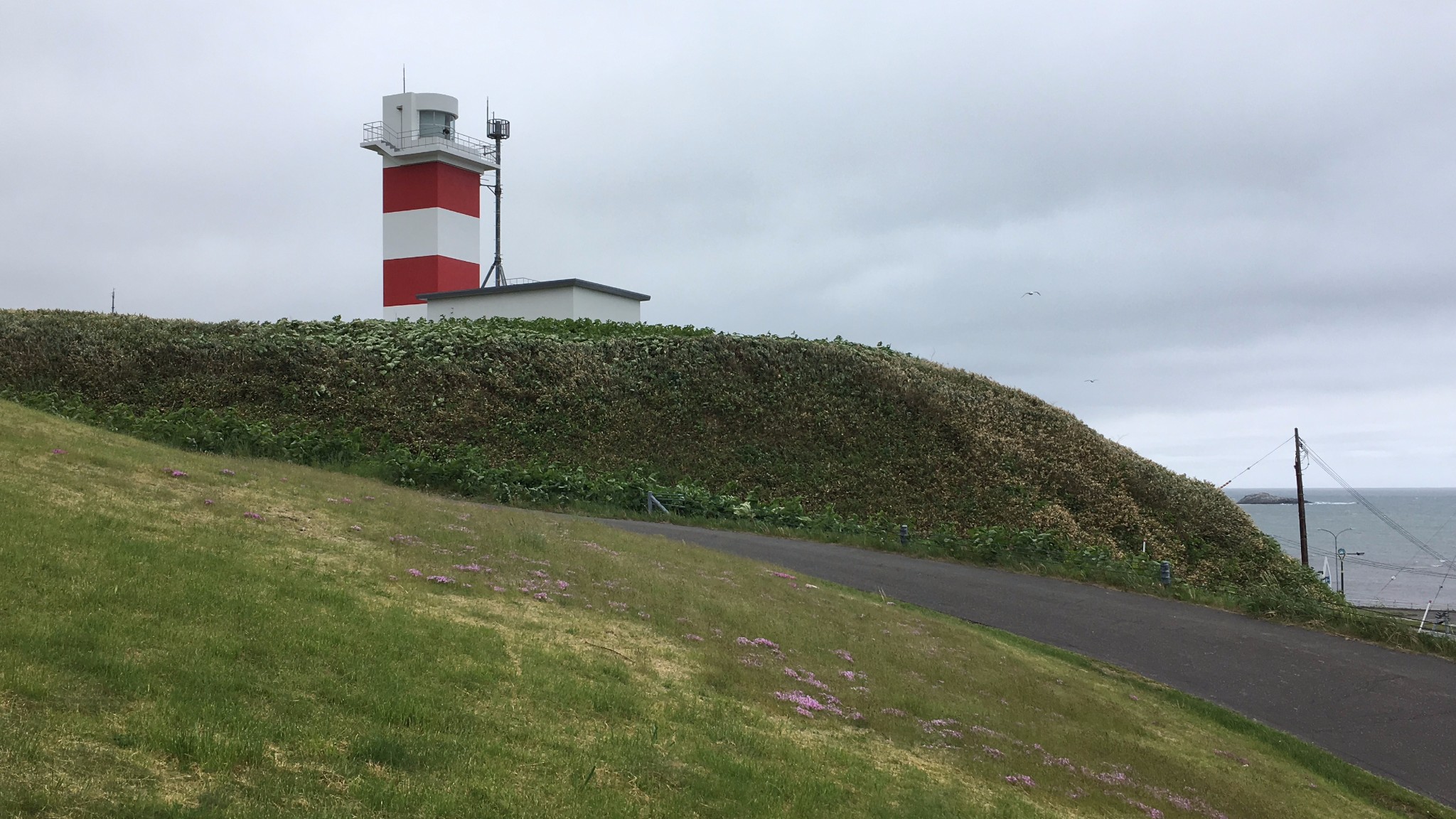 北海道自助遊攻略