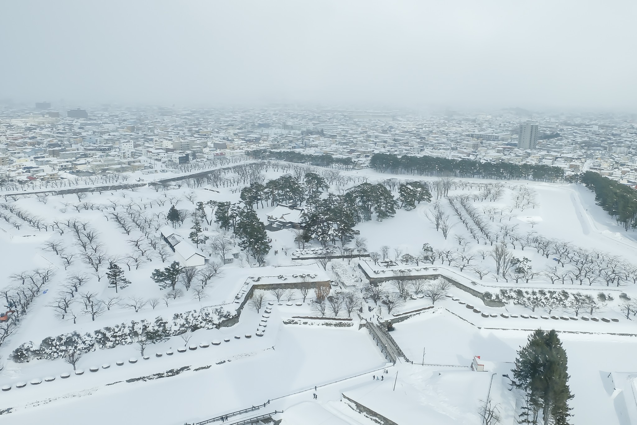 北海道自助遊攻略