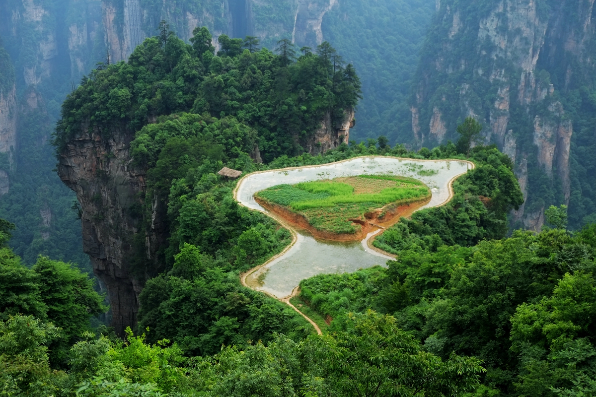 你在張家界有遇到過黑司機(jī)黑導(dǎo)游黑客棧嗎？ 