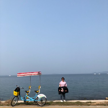 六六打醬油