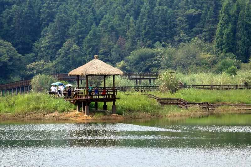 千岛湖龙川湾景区门票/含船票 电动车(电子票/短信入园/千岛湖西南湖