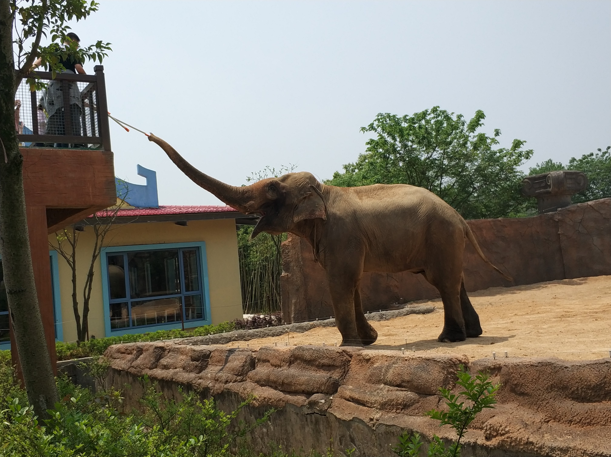 杭州野生動物園一日遊,杭州旅遊攻略 - 馬蜂窩