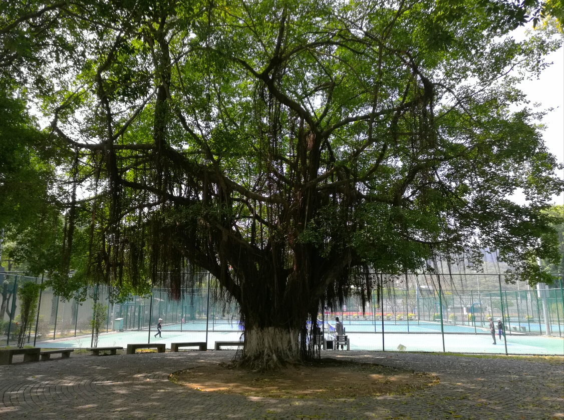 汕頭自助遊攻略