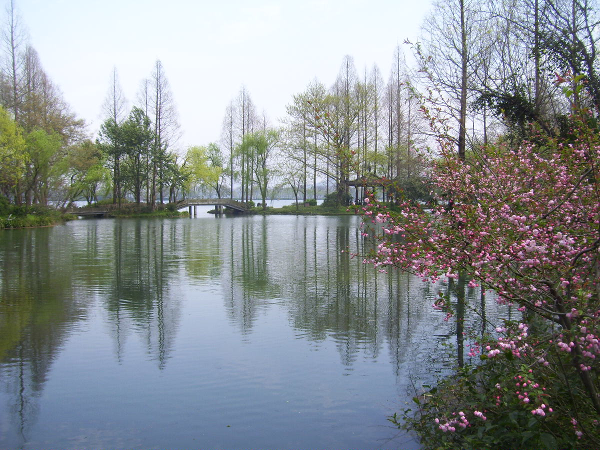 【杭州之春】西湖美景三月天_遊記