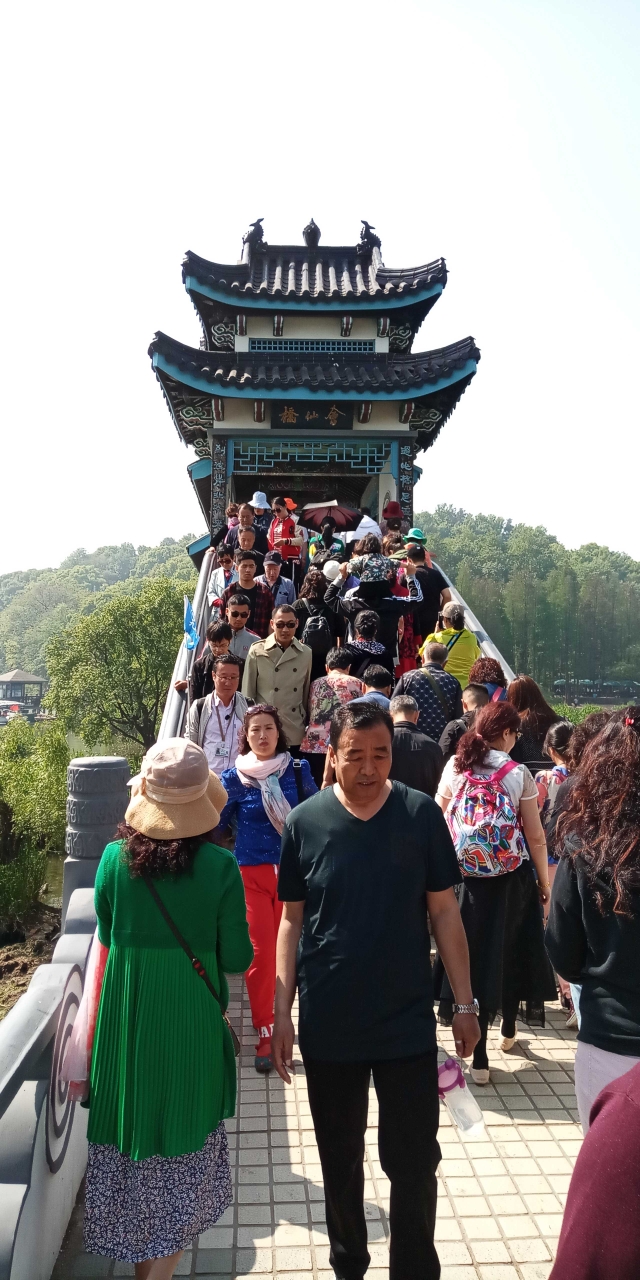 帮助了 140名 太湖游客.         举报