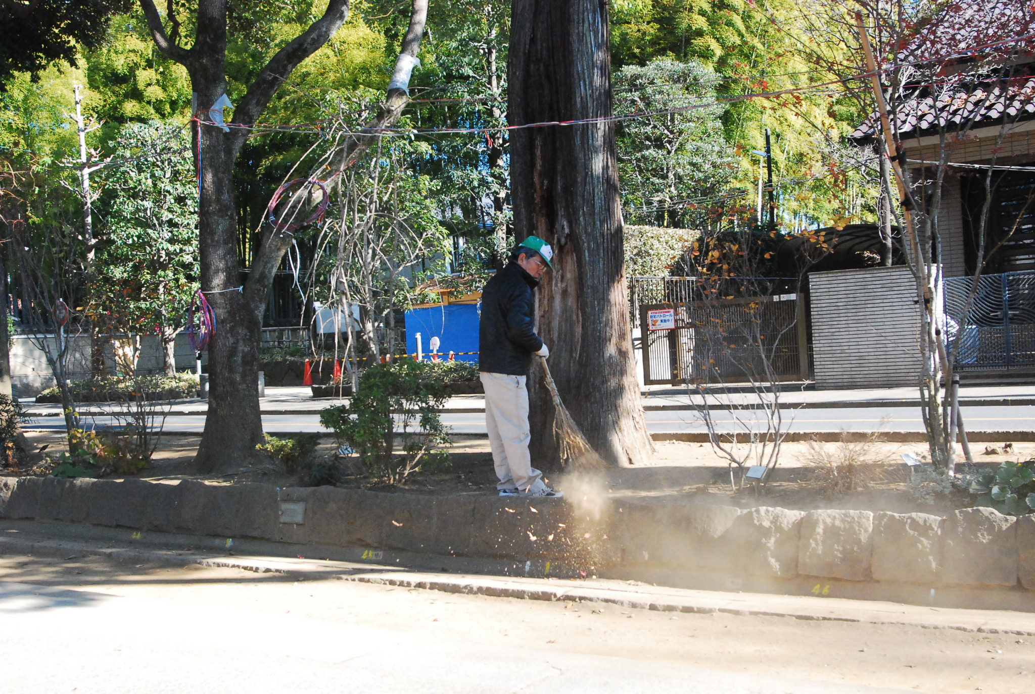 東京自助遊攻略