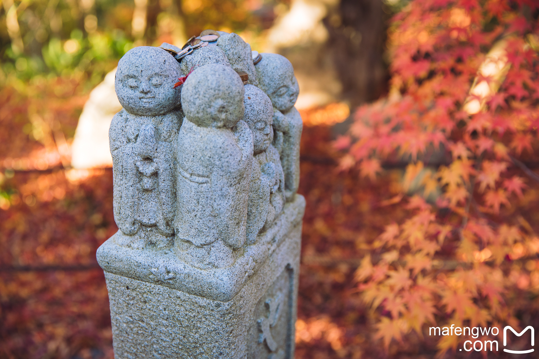 京都自助遊攻略