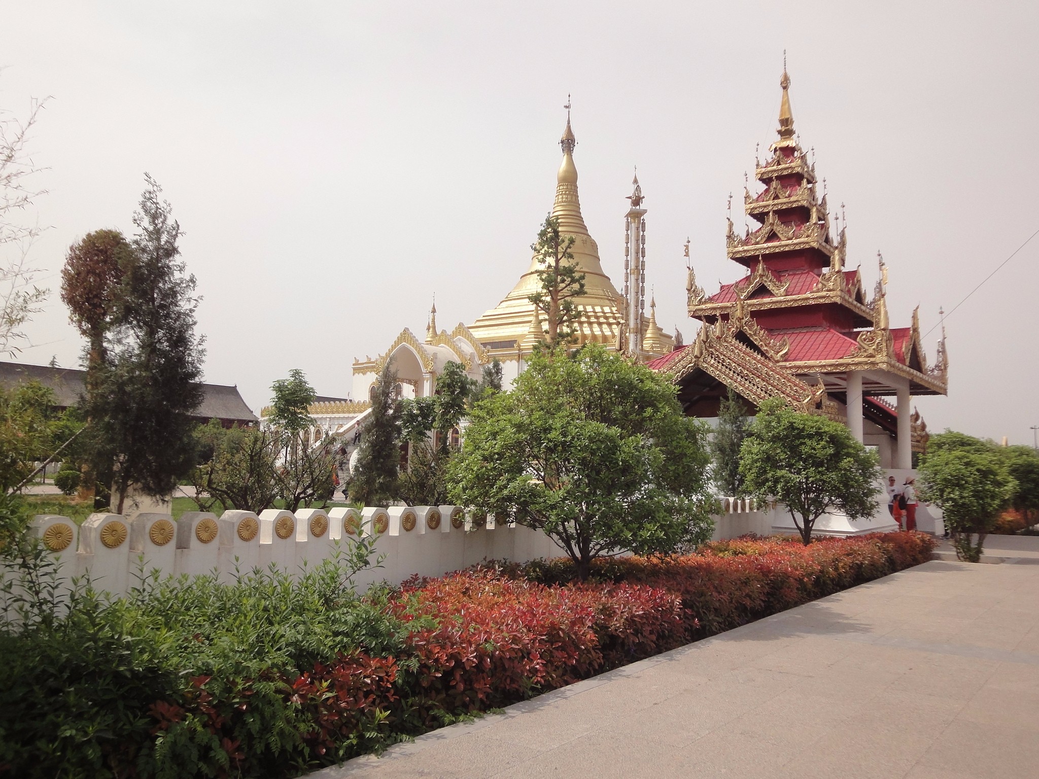 释源祖庭白马寺 第一古柏在登封