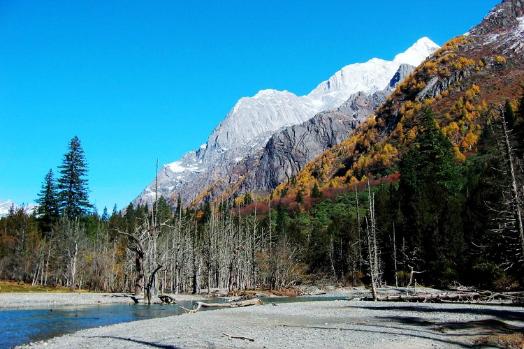 四姑娘山纯玩双沟 卧龙熊猫繁殖基地圣源3日游(长坪沟 双桥沟景区内含