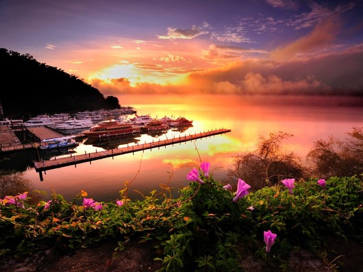 台湾日月潭金龙山赏日出2日游日月恋谈生态体验之旅商务车服务特色