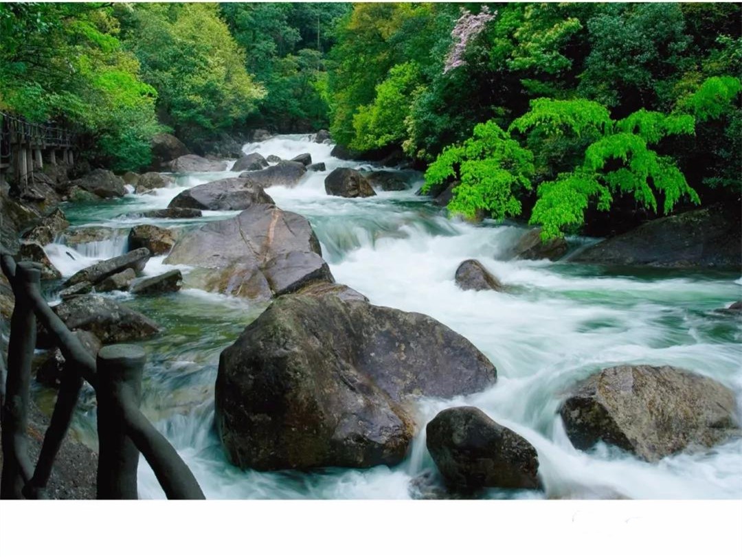 武夷秘境 · 大安源景区(黄岗山大峡谷 龙归源 泰平洋水上广场 多票种