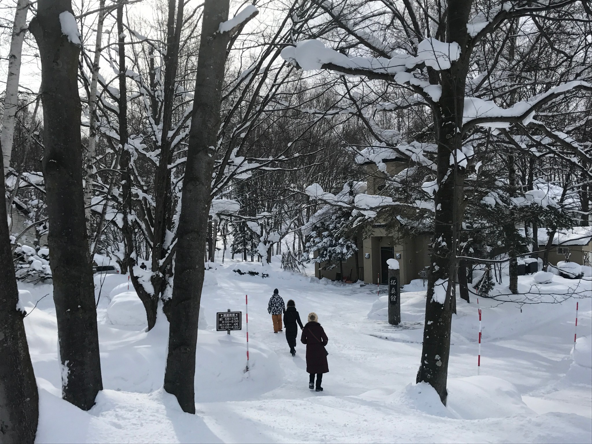 北海道自助遊攻略