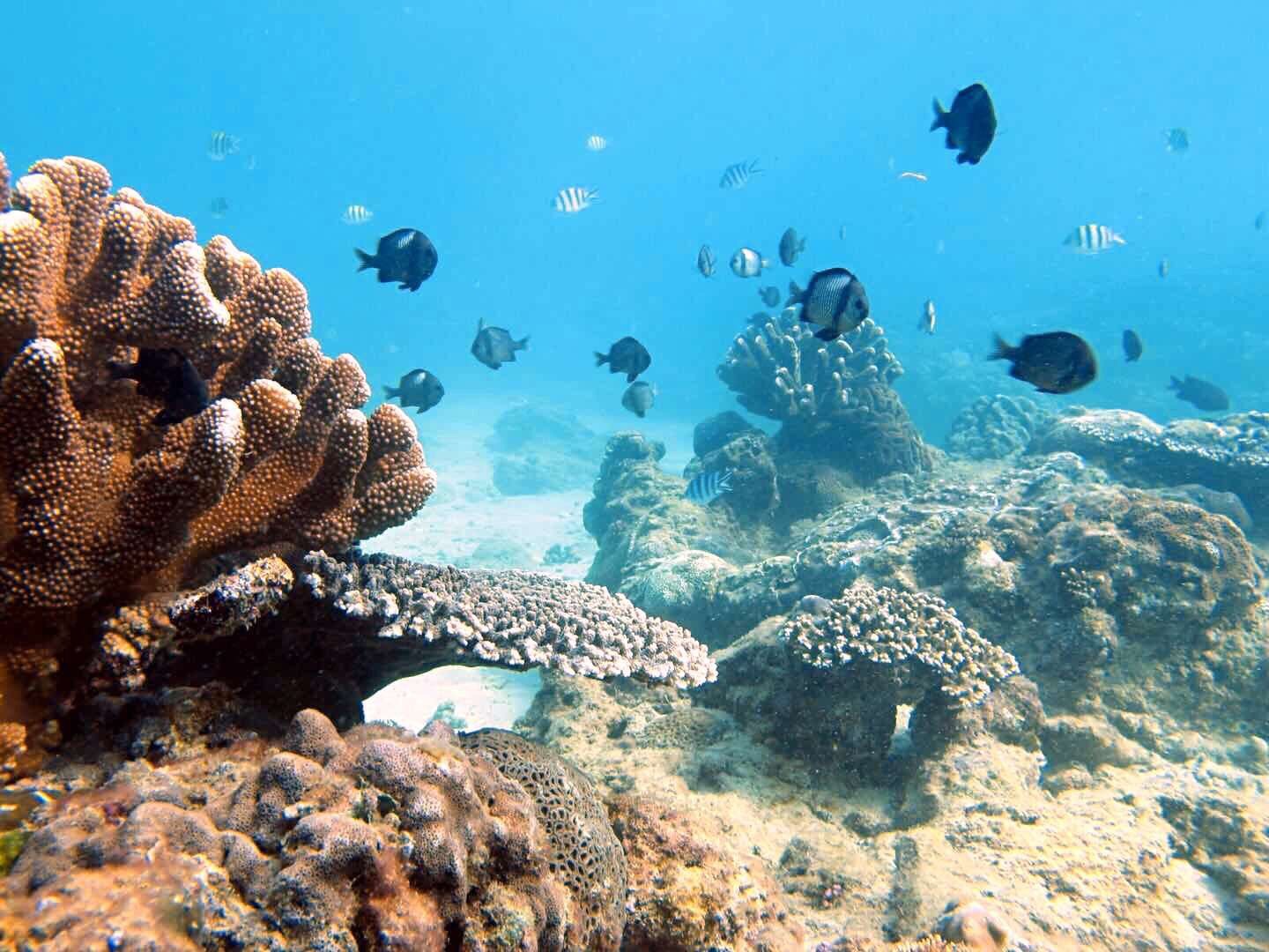 Sanya Boundary Island