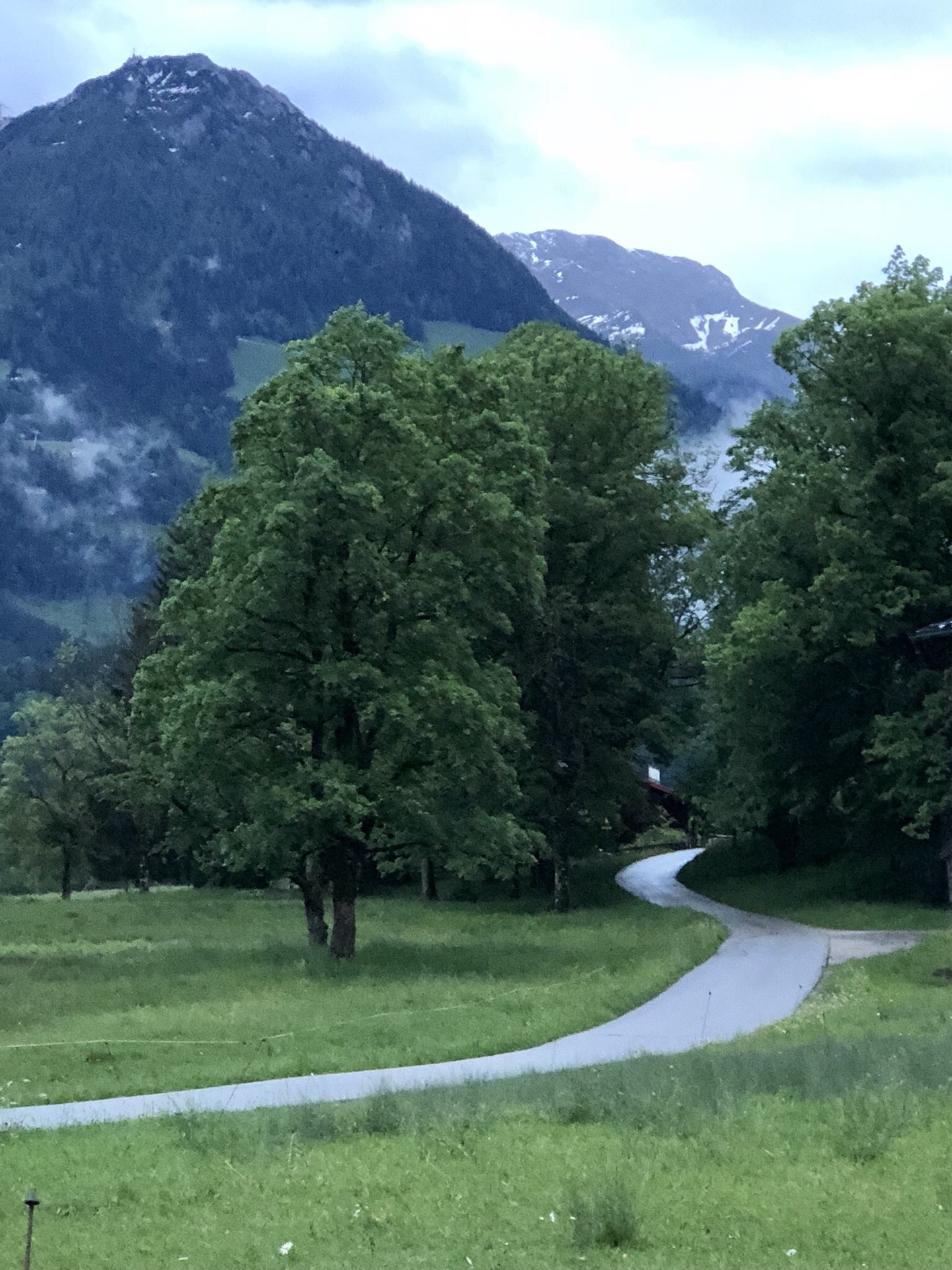 德国阿尔卑斯山脉之旅