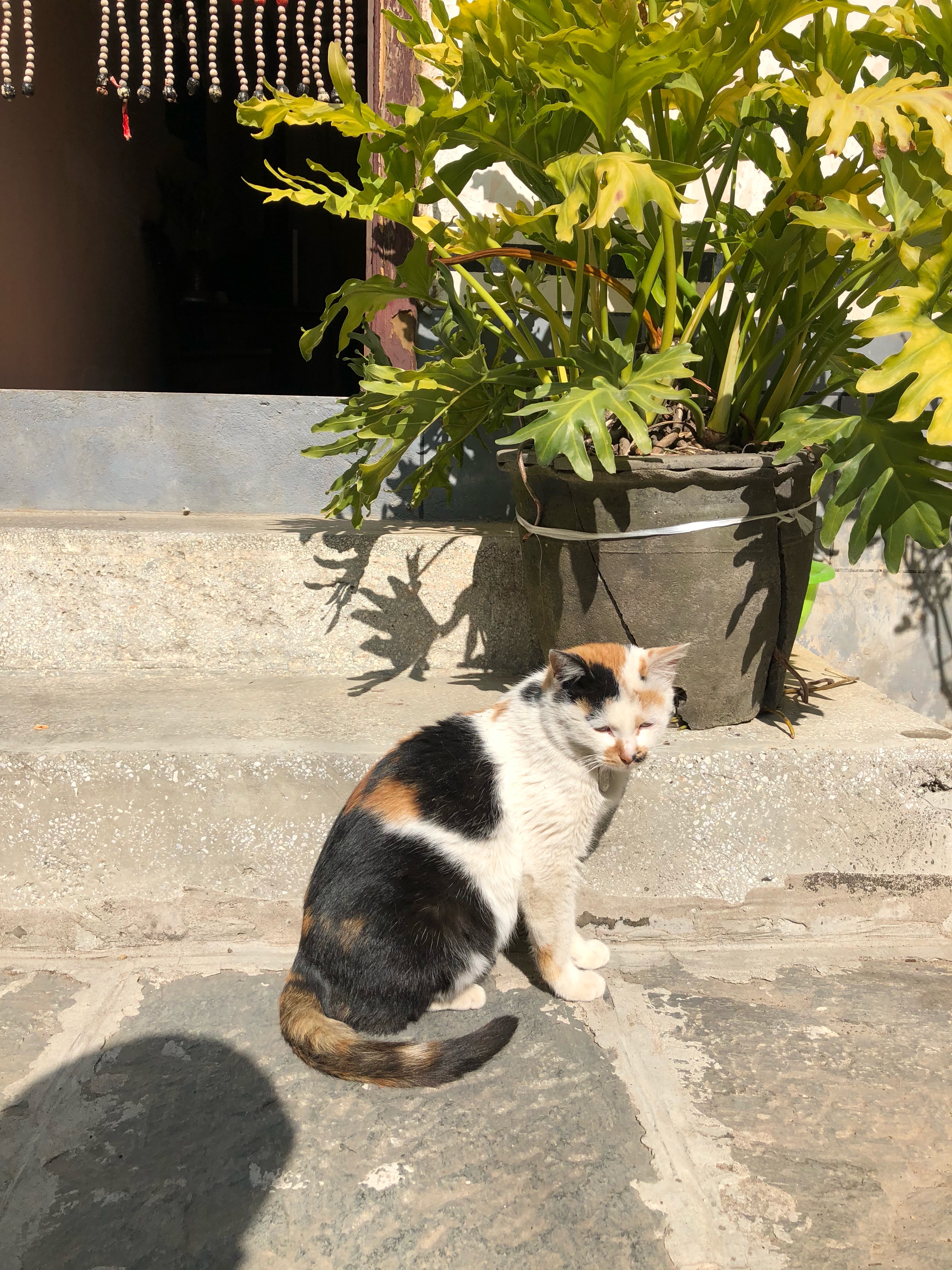 百合家聚餐沙龙