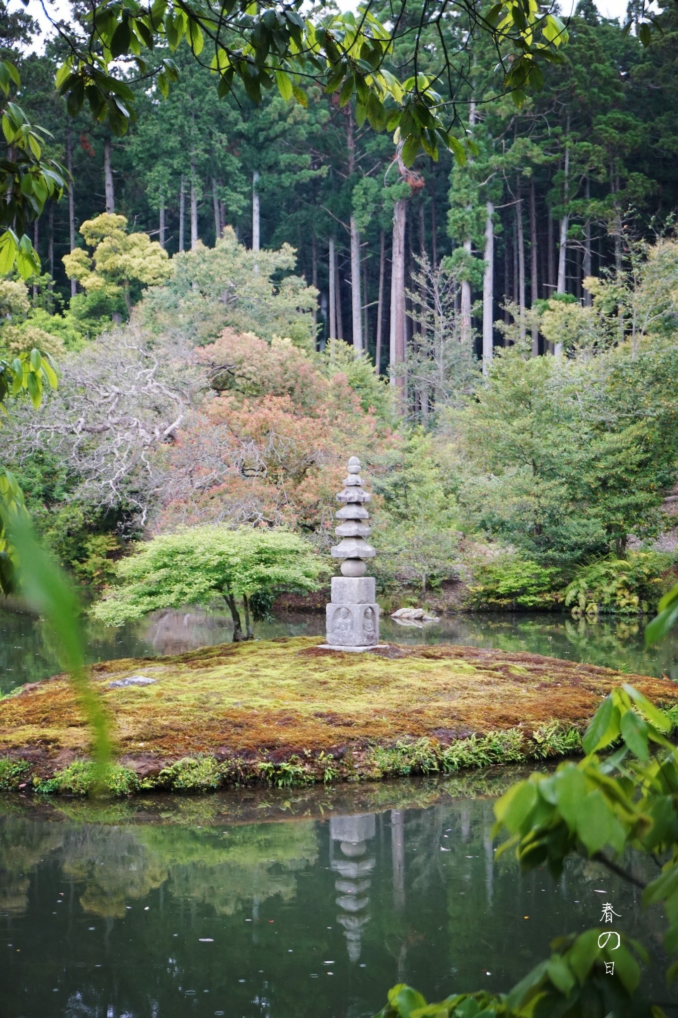 京都自助遊攻略