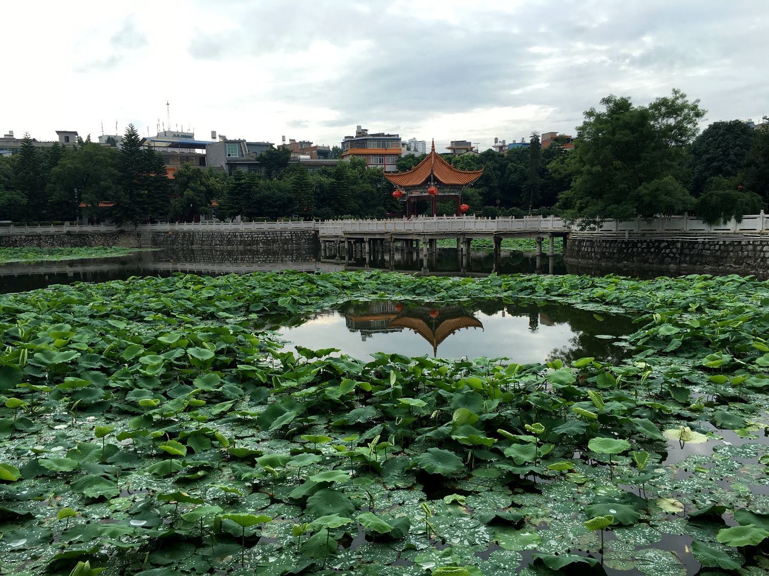 广南莲湖公园游记, 莲湖公园旅游攻略, 莲湖公园自助游游记 - 马蜂窝