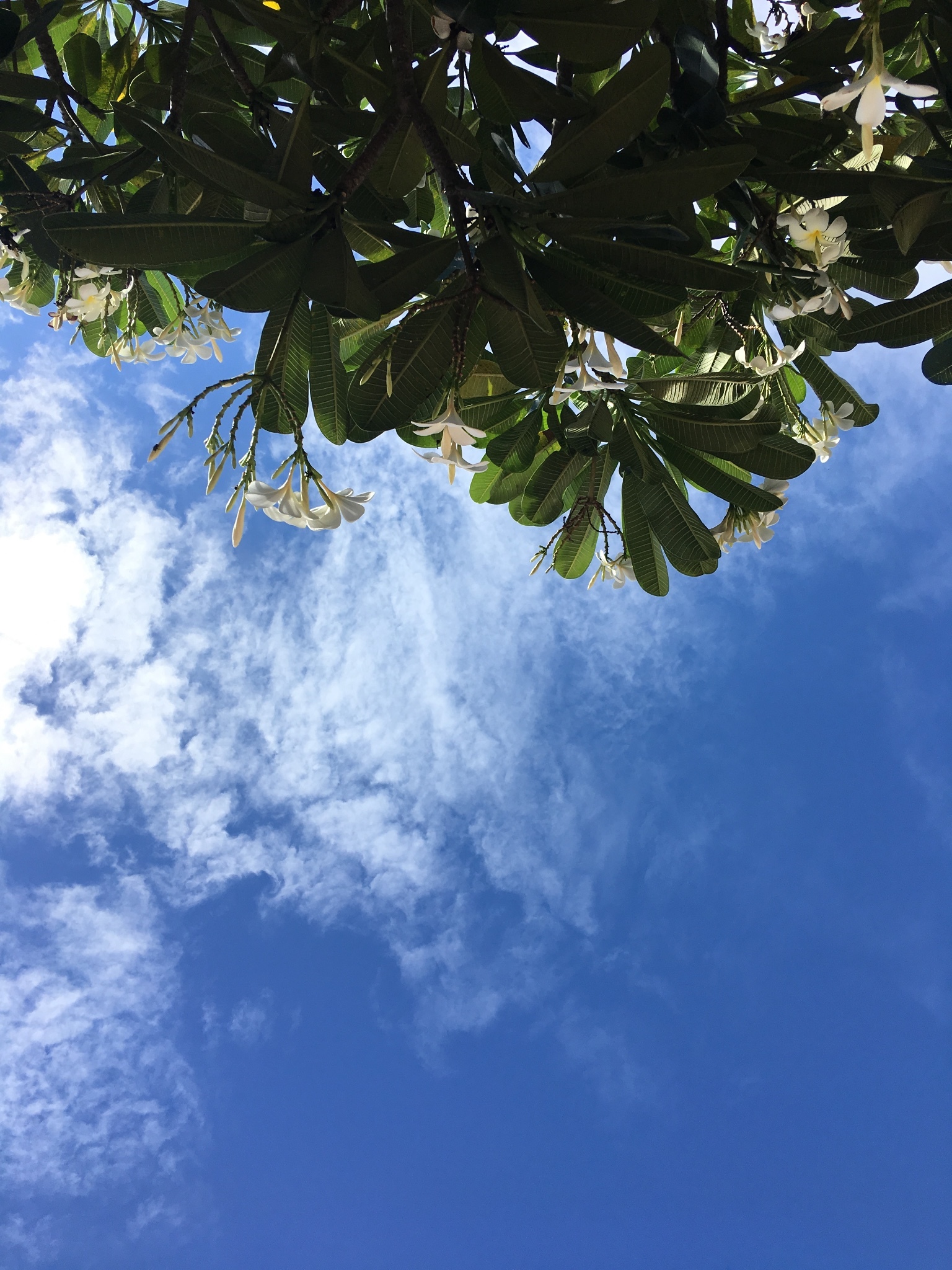 菲律宾中部海岛七日游