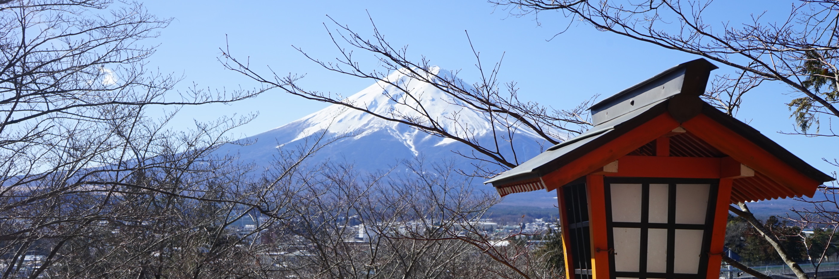 晴朗冬季 遇见东京 眺望富士山 迪士尼海洋乐园 新宿圈 浅草寺 与霓虹金同行 旅游攻略 马蜂窝