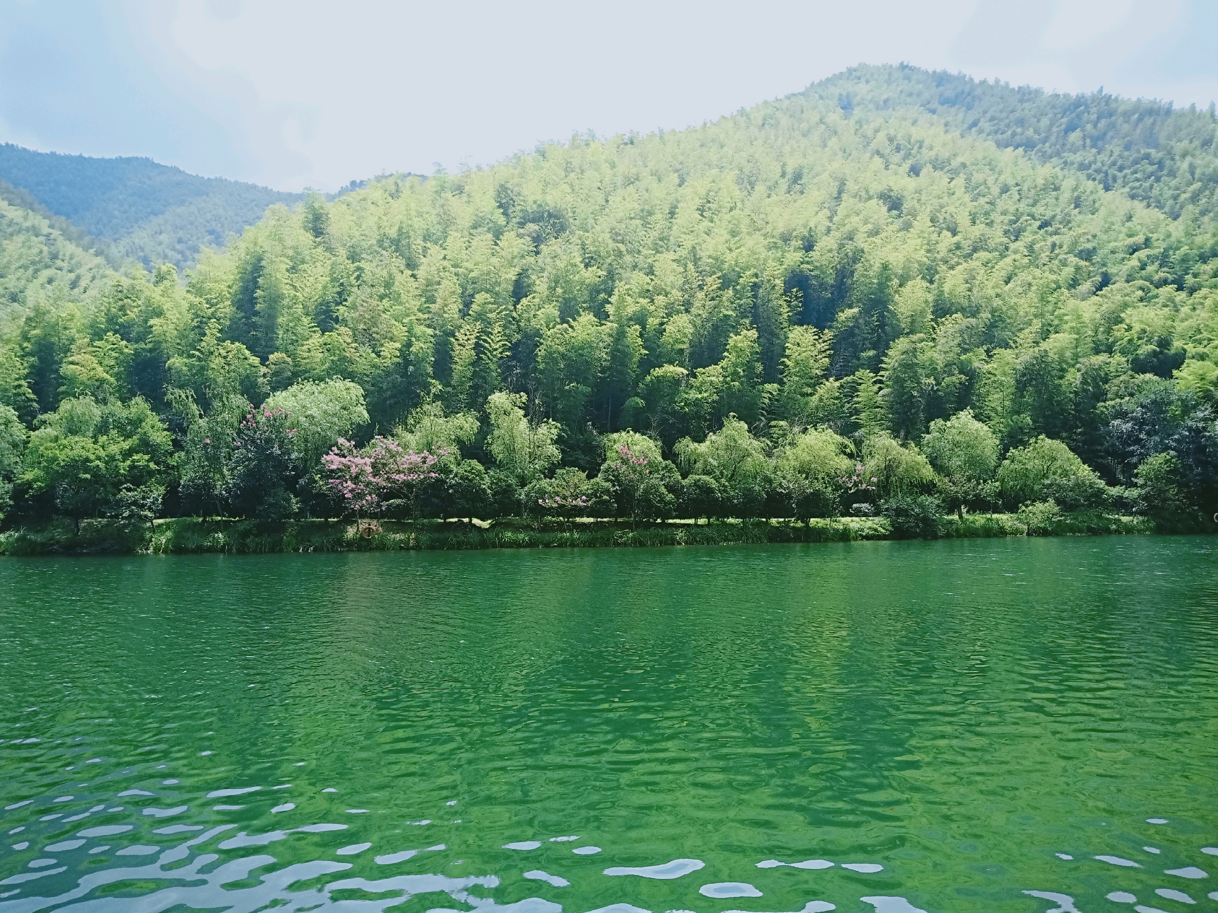 南山竹海旅遊圖片,南山竹海自助遊圖片,南山竹海旅遊景點照片 - 馬