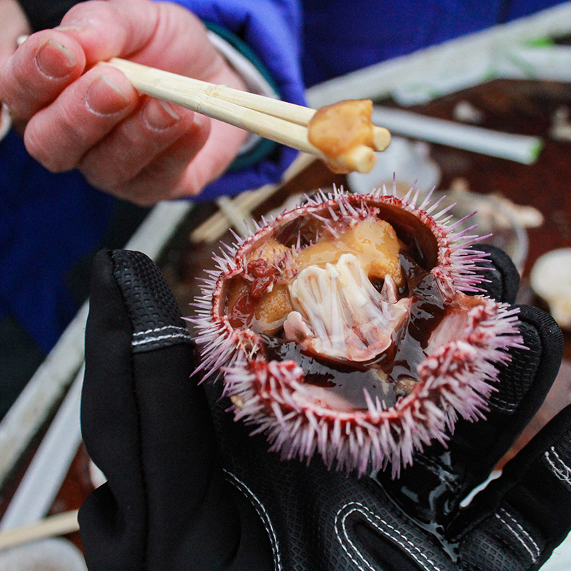 你想要的玩法都在这!