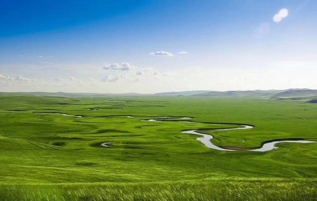 领着儿子在呼伦贝尔大草原撒野