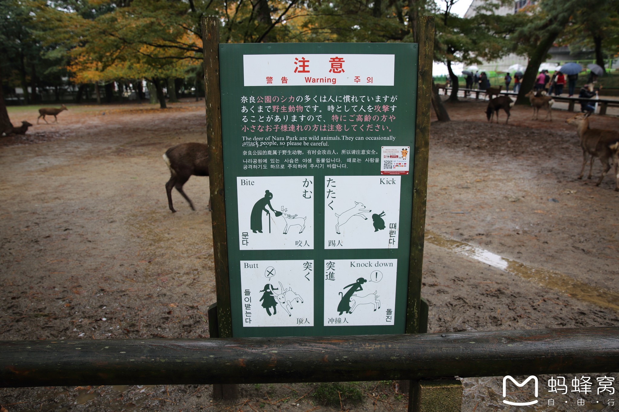 日本自助遊攻略