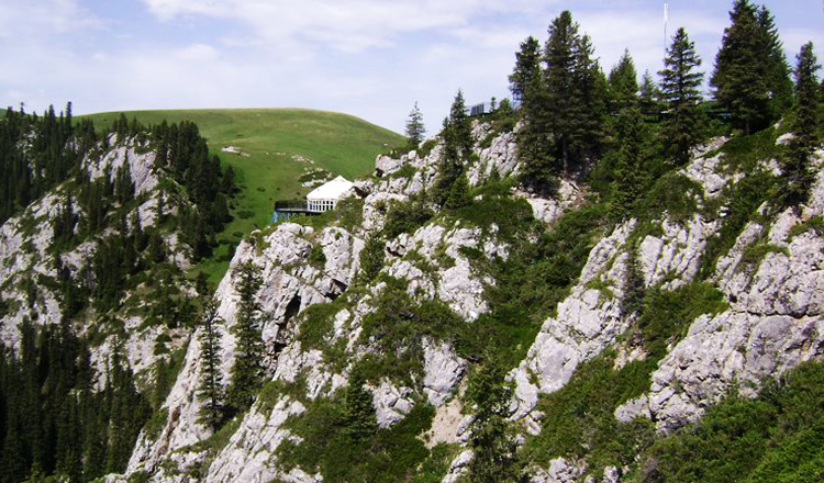 新疆旅游伊犁伊宁县托乎拉苏五媳妇沟大峡谷包车2日游全程中文当地