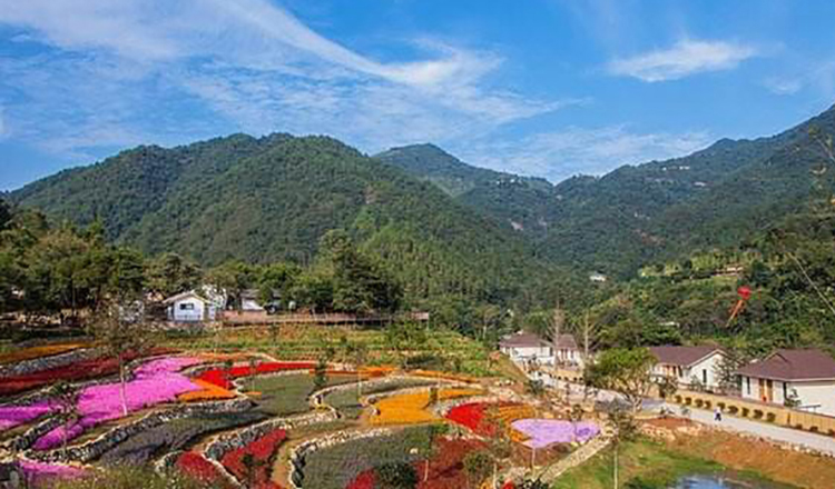 江西赣州市大余县黄龙镇丫山风景区门票(无需取票 凭短信验证码入园)