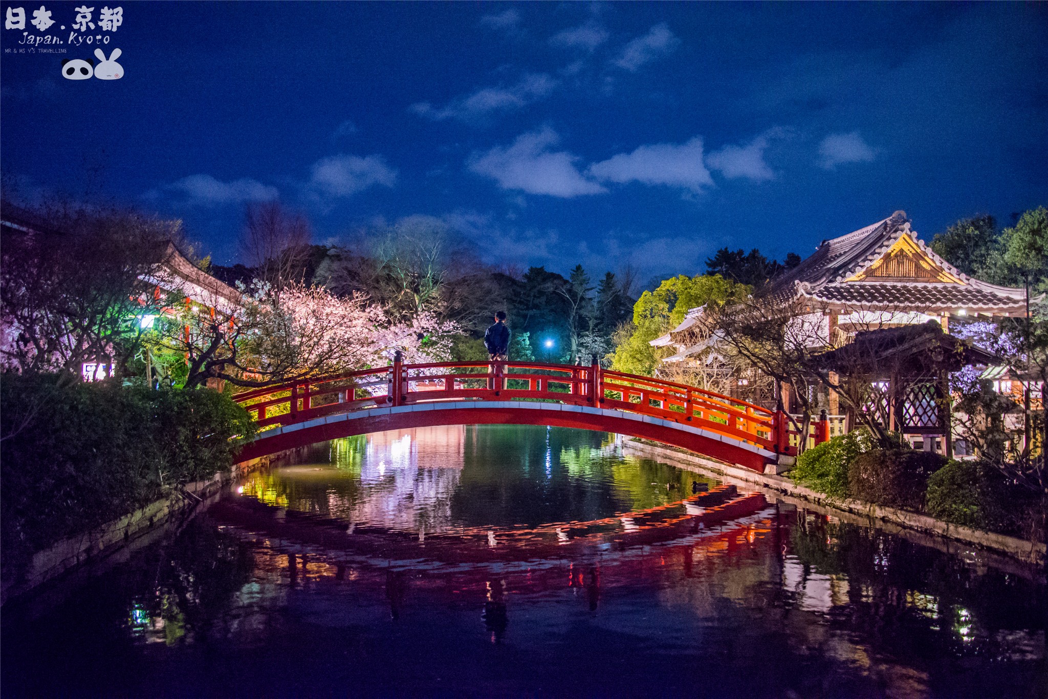 秒速五厘米----一样的樱花季,不一样的日本(京都,奈良,大阪8日7夜游)