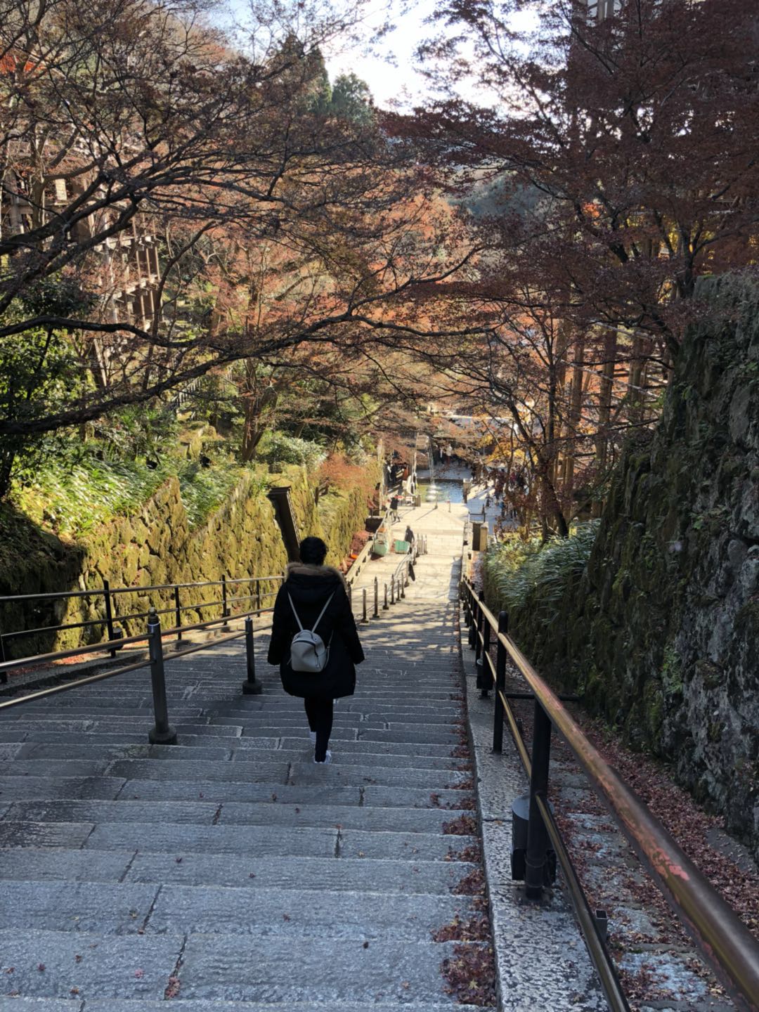 京都自助遊攻略