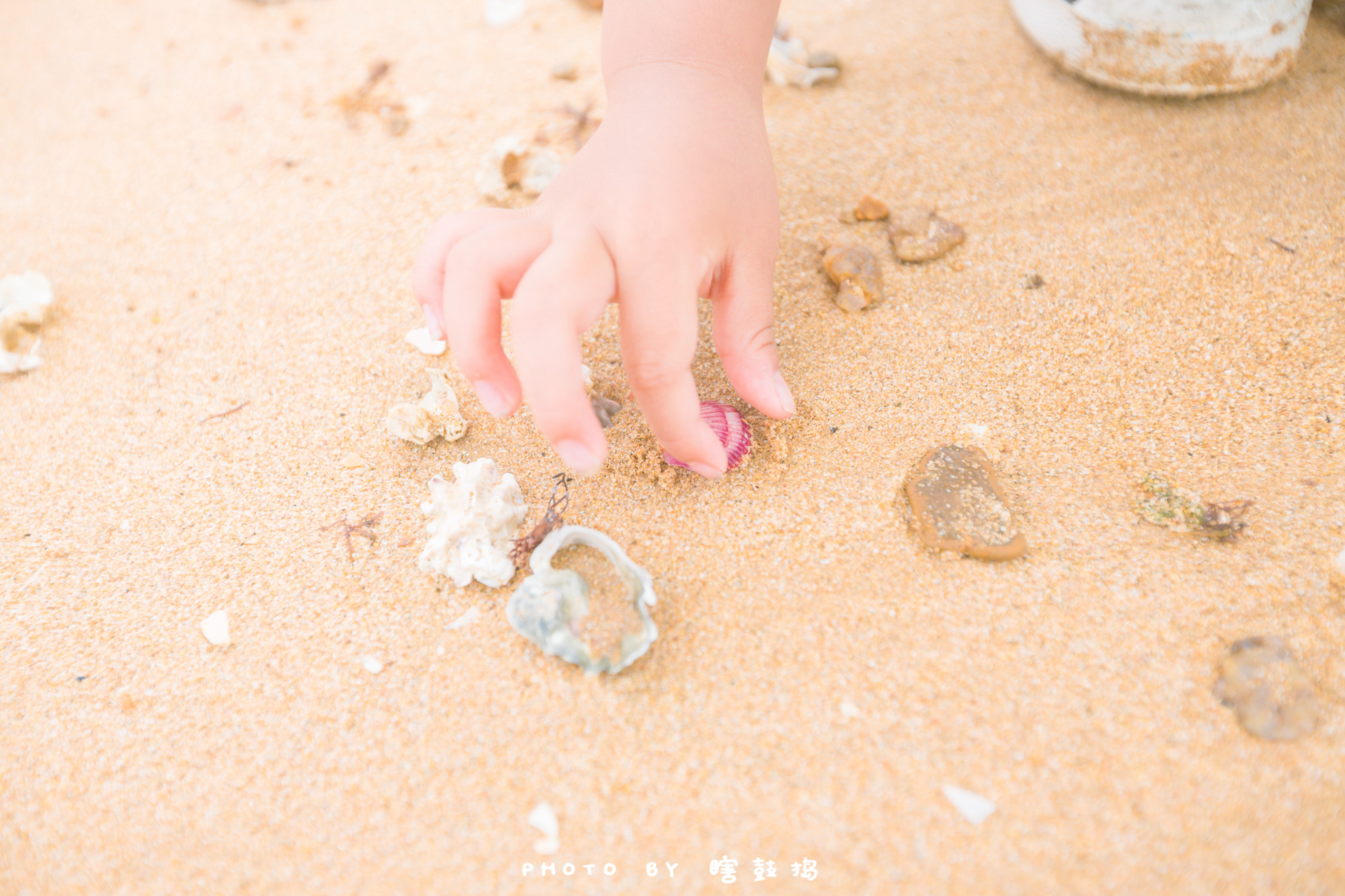 夏季带孩子来东戴河,抓螃蟹,拾贝壳,玩沙子