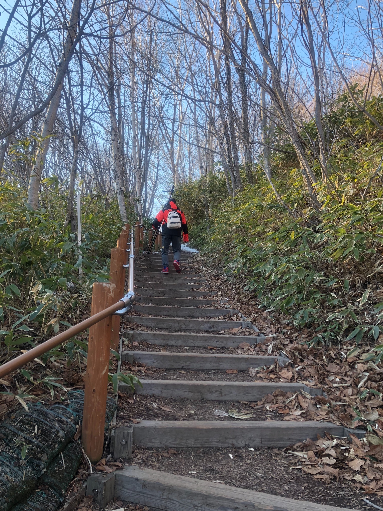 北海道自助遊攻略