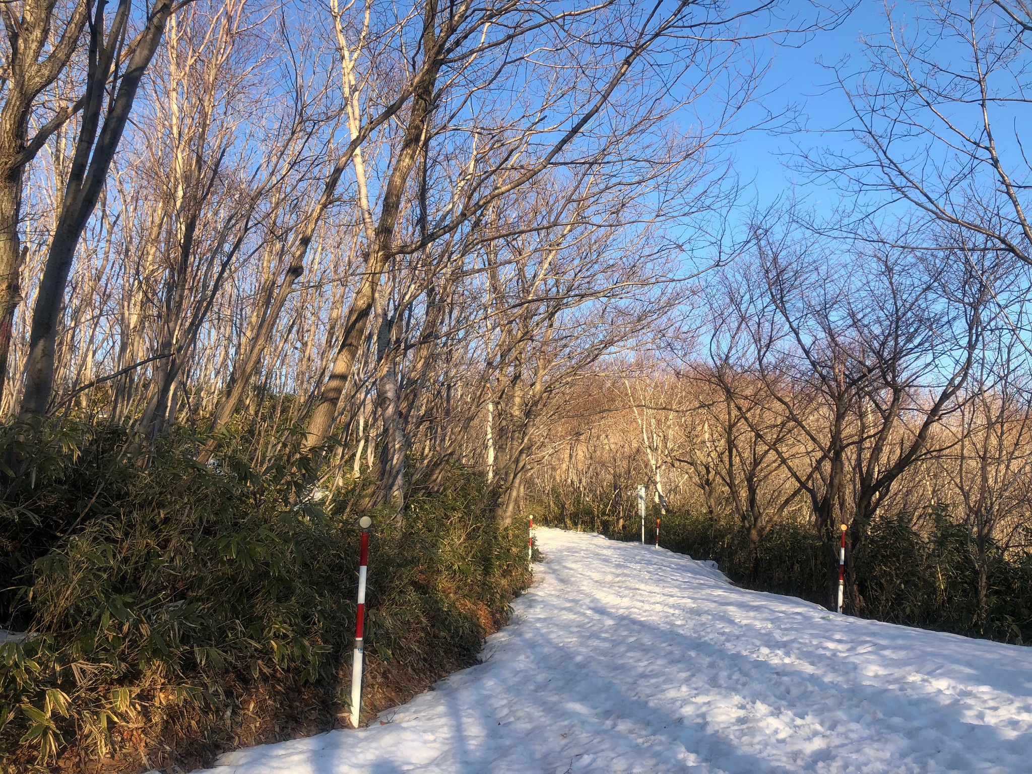 北海道自助遊攻略