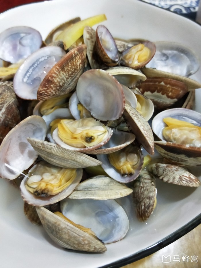 阳江海陵岛的白蒲村市场的海鲜是否比闸坡农贸市场的便宜和新鲜