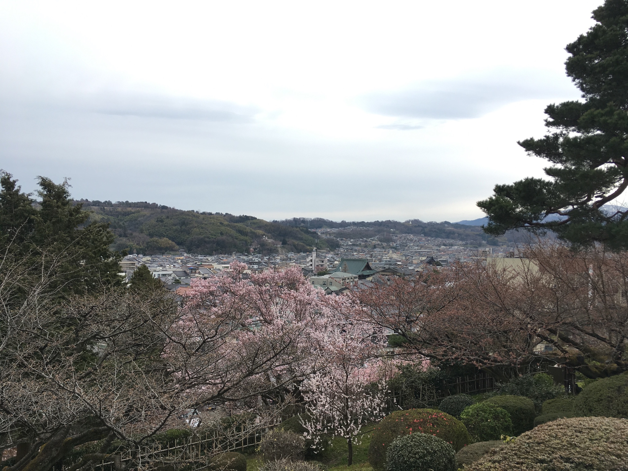 名古屋自助遊攻略